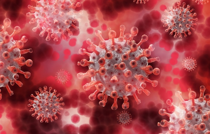 Koronavirus yana bosh ko‘tardi