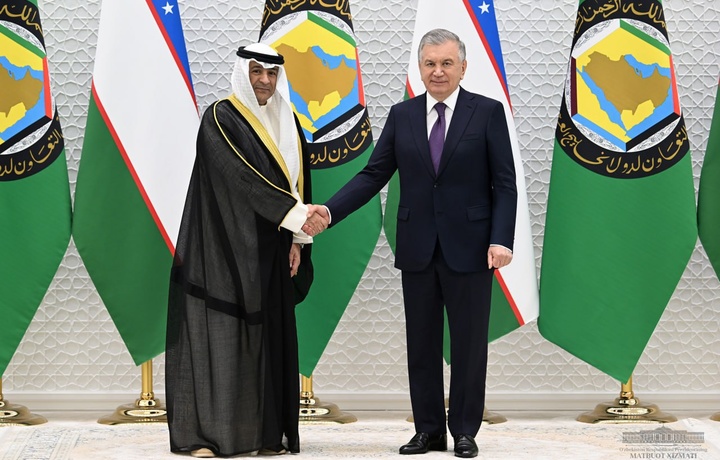 Президент принял генерального секретаря Совета сотрудничества арабских государств