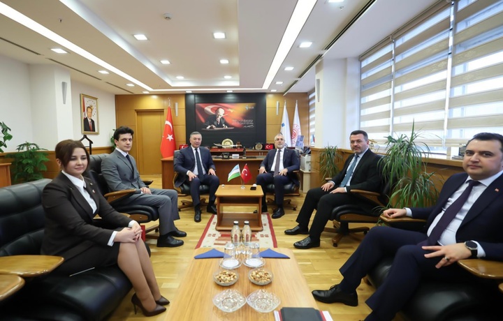 Туркияда қатор муҳим қарорлар: ўзбекистонликлар учун иш, ҳимоя ва қонунийлик