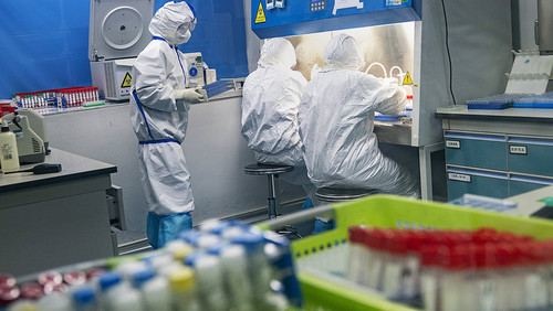 Число заразившихся коронавирусом в мире превысило 490 млн