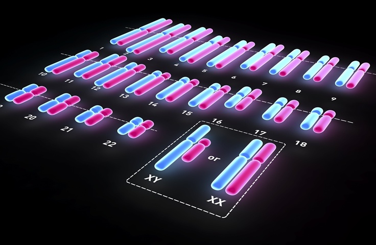 Rossiyada jinsiy ayol