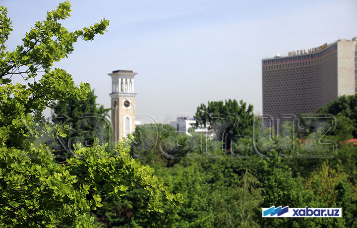 22 июнь куни Ўзбекистонда қандай об-ҳаво кузатилади?