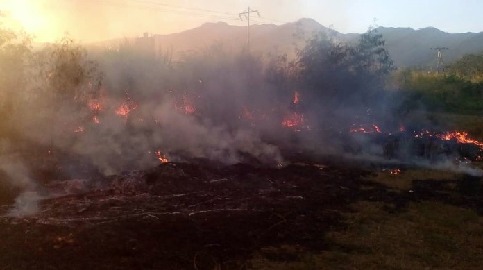 Venesueladagi plantatsiyada odamlar yonib ketdi