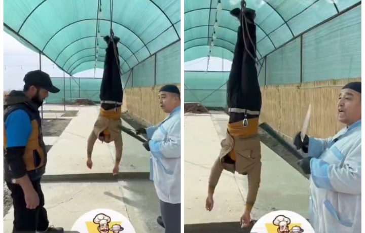 Бухорода блогер ва ошхона эгаларининг «хайпи» қимматга тушди