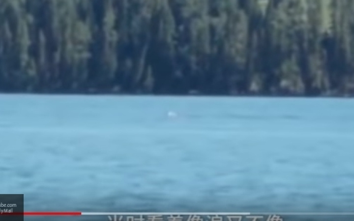 Это морское чудище? Загадочное существо сняли на видео в Китае (видео)
