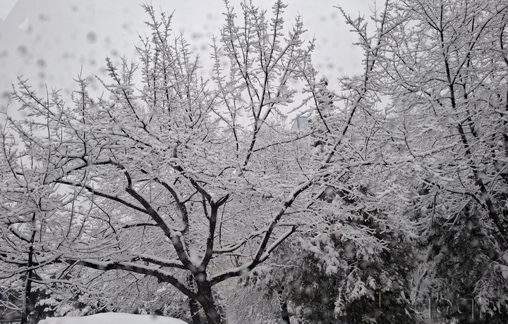 Сегодня температура воздуха в Узбекистане составит -3...+2 градусов