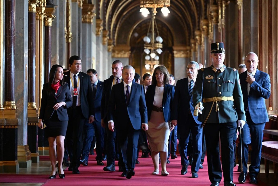 Mirziyoyev Vengriya Milliy majlisi spikeri bilan uchrashuv o‘tkazdi
