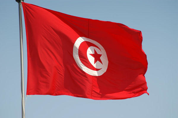 Президент Туниса уволил 57 судей, обвинив их в коррупции