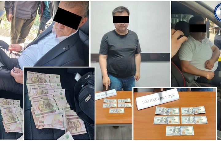 Qashqadaryoda firibgarlik qilgan uch advokat ushlandi