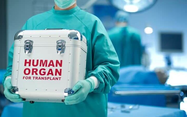 Сенаторы одобрили закон о трансплантации органов и тканей человека