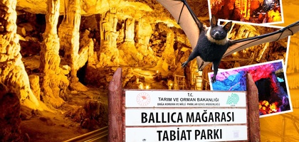 Ионлашган ҳаво, фойдали кўршапалаклар, даволовчи хусусиятга эга “ер ости қасри” — Баллижа ғорига кирамиз (фото)