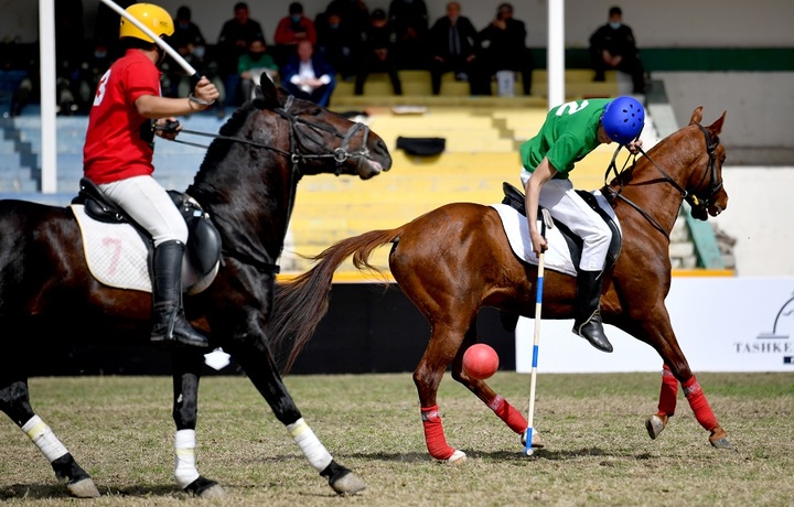 O‘zbekiston polo federatsiyasi Ijroiya qo‘mitasining tarkibi tasdiqlandi