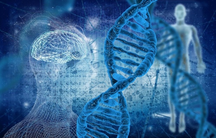 Эксперты определили самые быстрые и самые медленные гены человека
