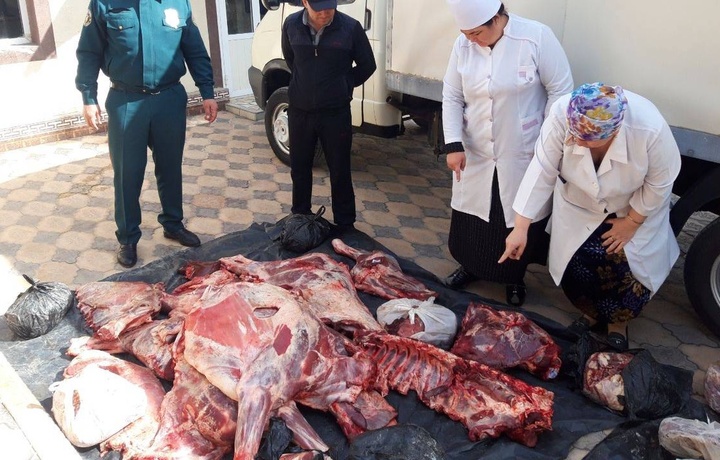 В Ташкент из Бухары пытались завезти 1 тонну некачественного мяса (фото)
