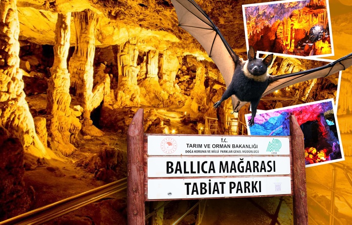 Ionlashgan havo, foydali ko‘rshapalaklar, davolovchi xususiyatga ega “yer osti qasri” — Ballija g‘origa kiramiz (foto)