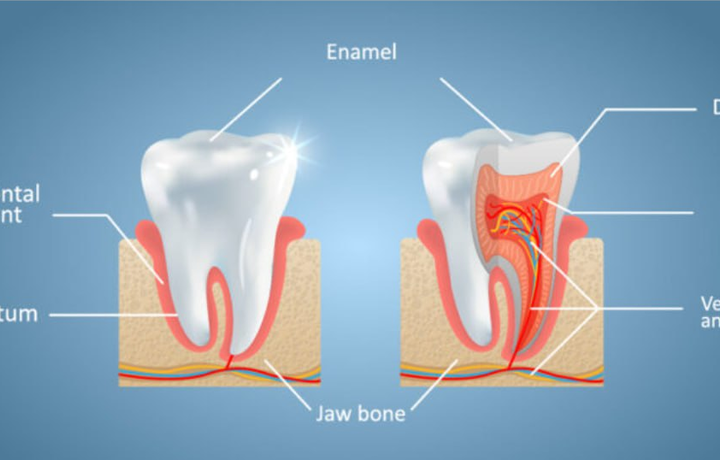 Endi tishlarni to‘liq tiklash mumkin bo‘ladi