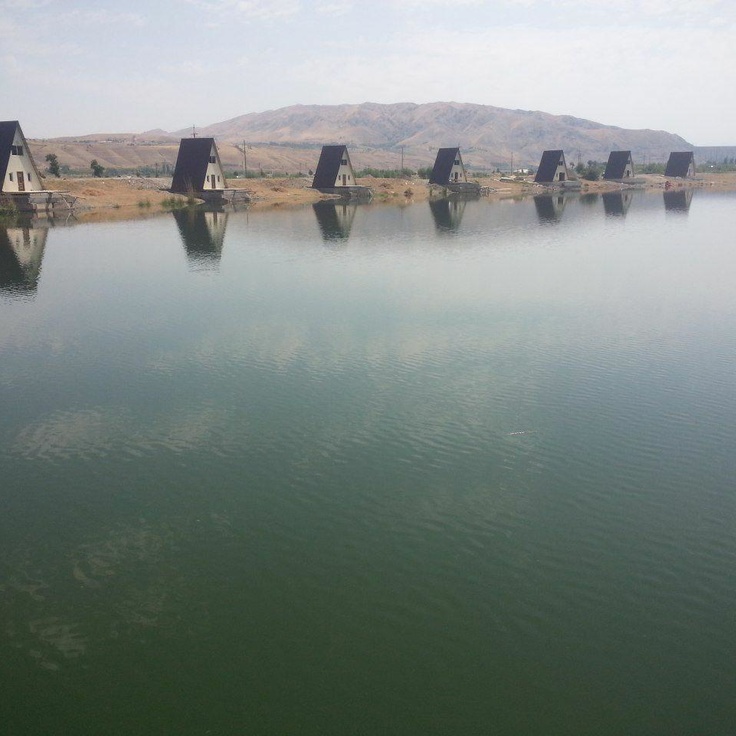 Rus tilida porno manga Soqol olish porno qin