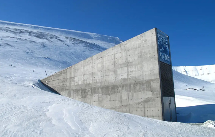 O‘zbekiston urug‘lari Arktikadagi mashhur omborga joylashtirildi