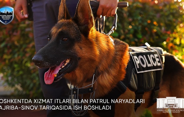 Jamoat joylarida xizmat itlari patrul ishlarini boshladi