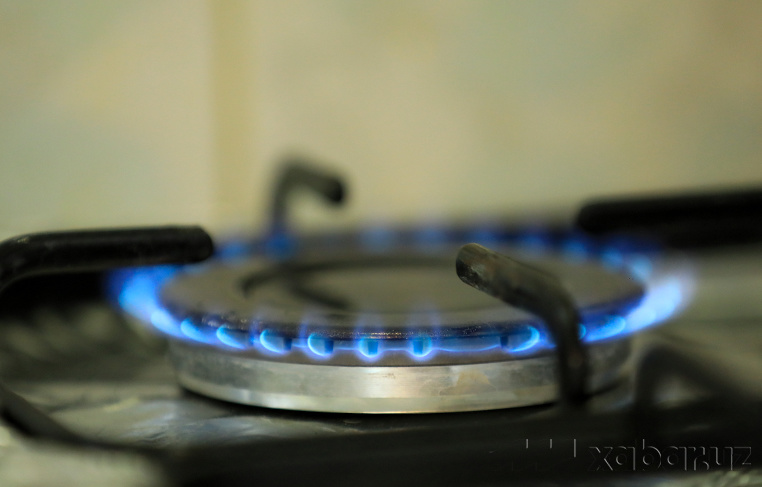 Aholi 31 martga qadar qo‘shimcha 50 kub metr tabiiy gaz uchun imtiyozli narxda to‘laydi – Energetika vazirligi