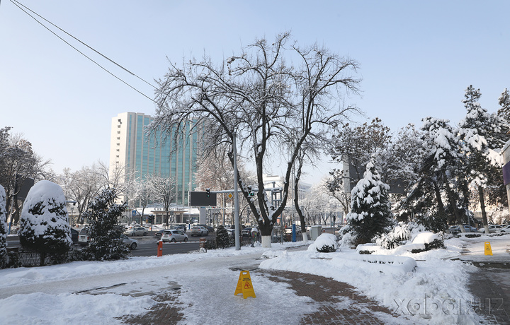 Янги йилда кетма-кет беш кун дам олиш бўлади