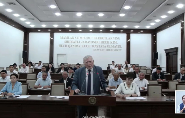 «Айрим Африка мамлакатларидан орқадамиз...» – сенатор Ўзбекистоннинг одил судлов тизими ҳақида