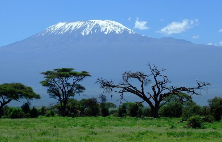 Afrika muzliklari 2040-yilga borib yo‘qolib ketish xavfi ostida — Jahon meteorologiya tashkiloti