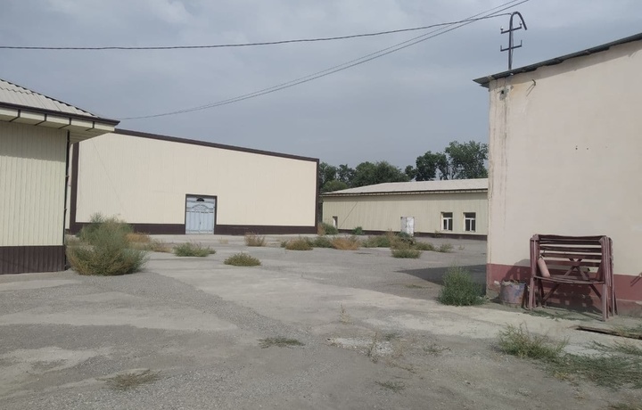 В Андижане выставили на продажу крупное предприятие по производству шелкового волокна
