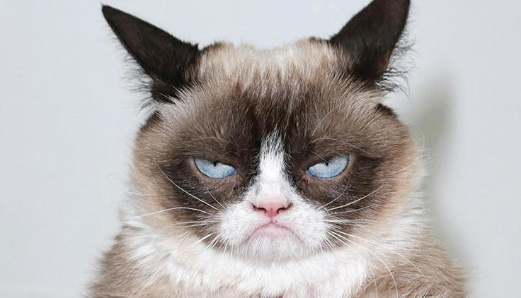 Osmirlar gay porno videolar