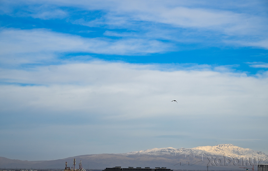 Сегодня температура воздуха повысится до 13-18 градусов тепла