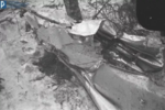 Фрагмент фюзеляжа учебно-тренировочного истребителя МиГ-15 на месте авиакатастрофы, в которой погиб Юрий Гагарин. 28 марта 1968