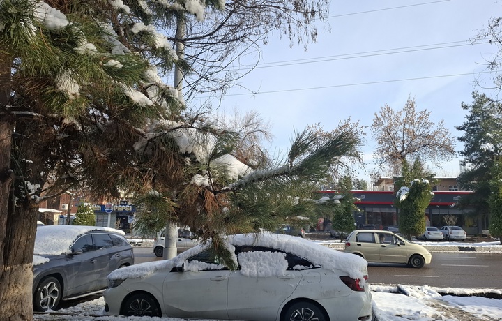 Сегодня температура воздуха по стране составит 8-13 градусов тепла