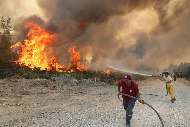 Эрдоган назвал причину пожаров на курортах Турции