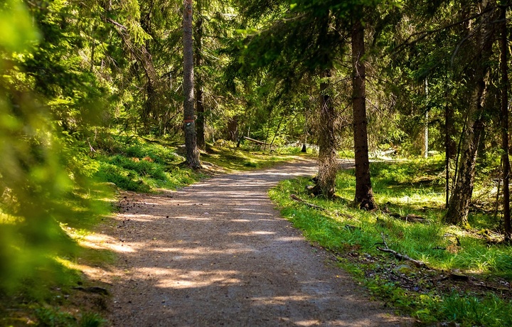 Экоҳудудларда туристик сўқмоқлар ташкил қилинади