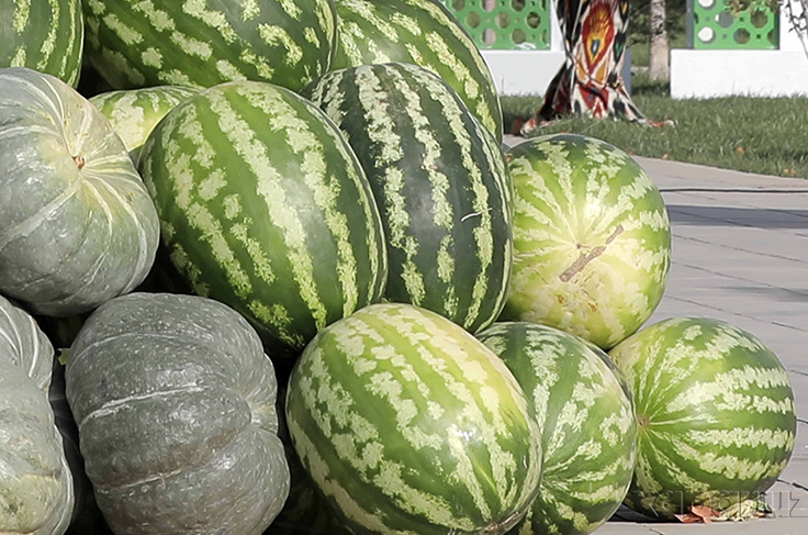 Rus qiz konvulsiyalar bilan jinsiy aloqada boladi