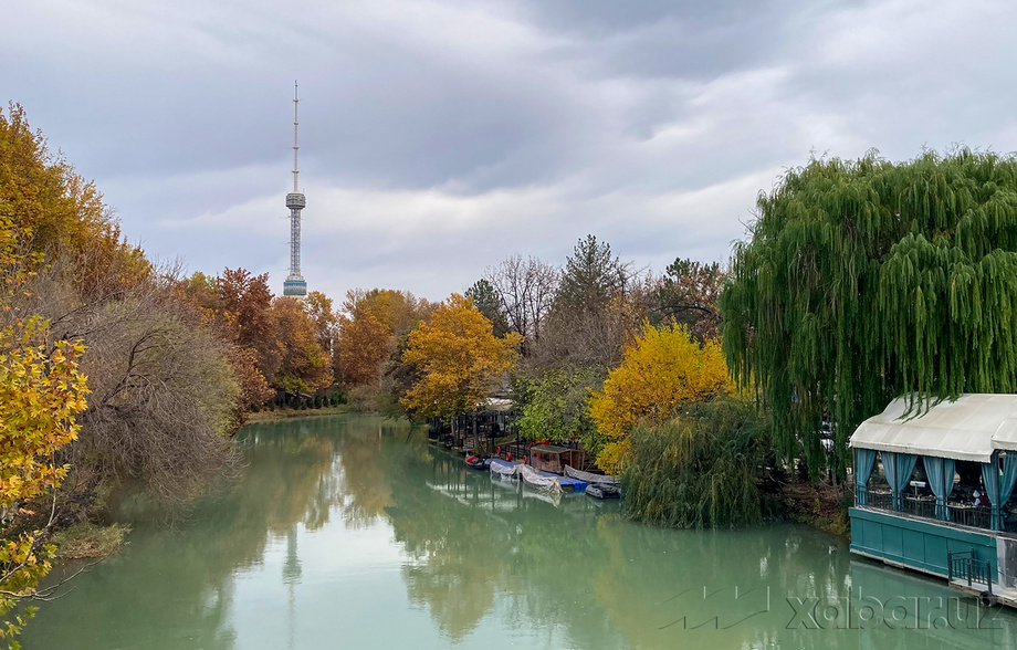 Сегодня температура воздуха в Узбекистане составит 14-19 градусов тепла
