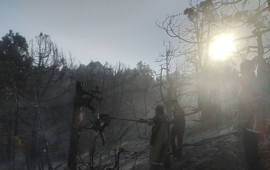 В Байсуне произошел крупный лесной пожар. Огонь тушили более 13 часов