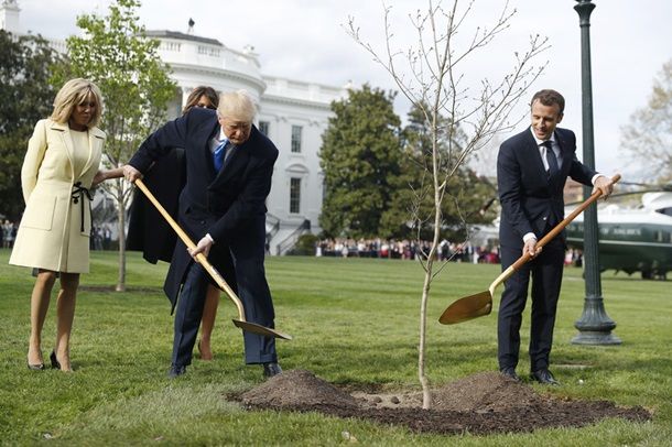Макрон ва Трамп Оқ уй ҳовлисига дарахт экди