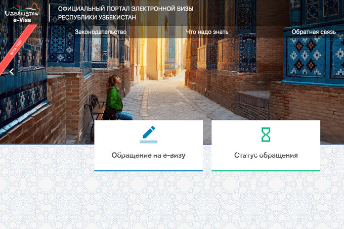 Запущена система электронных виз