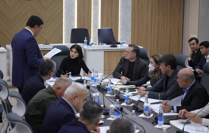 «Президент каждый день спрашивает у меня отчет по этому вопросу» – Саида Мирзиёева о воздухе в Ташкенте