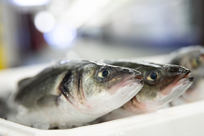 Диетолог назвала продукты, грозящие сальмонеллёзом