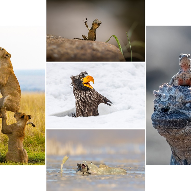 Ivanovo fohishalari 24/7 mavjud