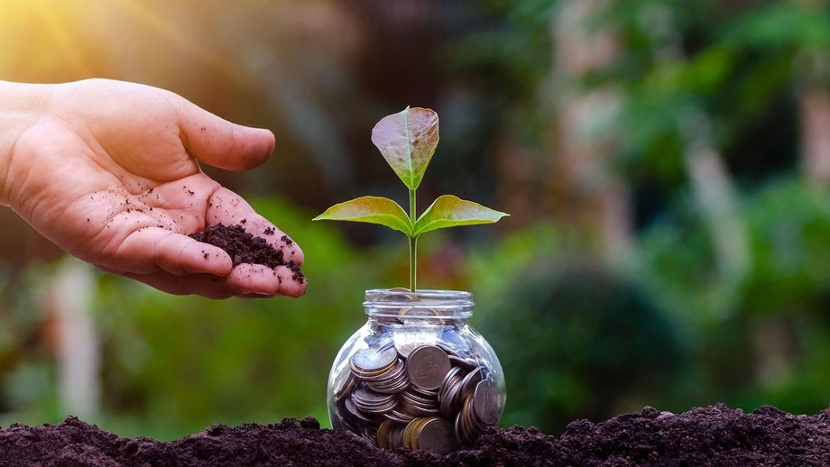 Iqlim iqtisodiyot kabi: O‘zbekiston uchun «yashil transformatsiya» nega muhim?