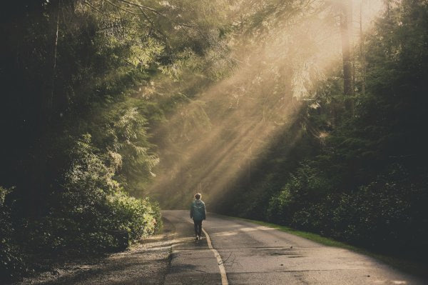 Митти ҳикоялар: Йўловчи, тақдир, «паҳлавон»...