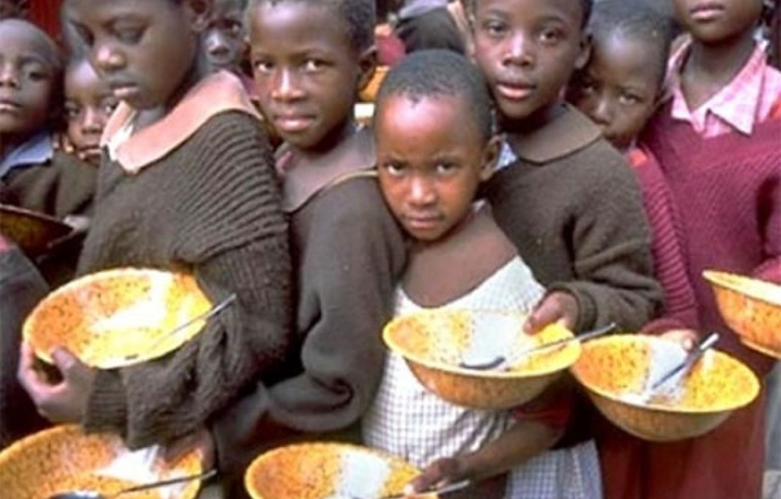 В Африке голодают около 27 млн человек — эксперты