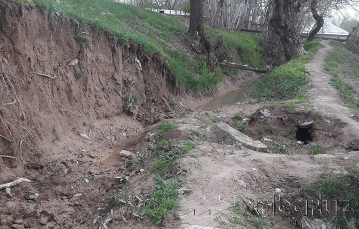 Ona qishloqqa sayohat: bo‘zlayotgan Bo‘zariq (foto)