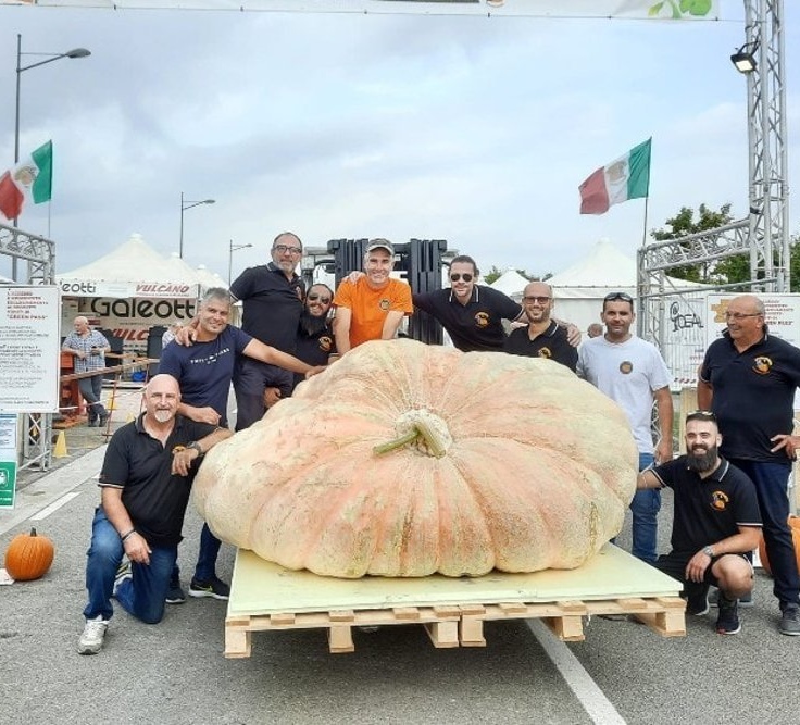 Sara Peylinning yalangoch fotosuratlari