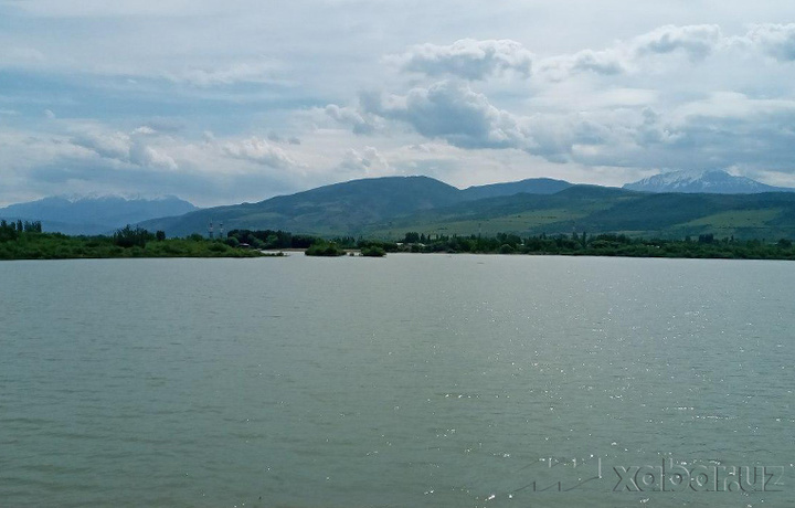 Chorvoqda tezkor reydlar o‘tkazildi: hademay «buz-buz»lar boshlanadi...