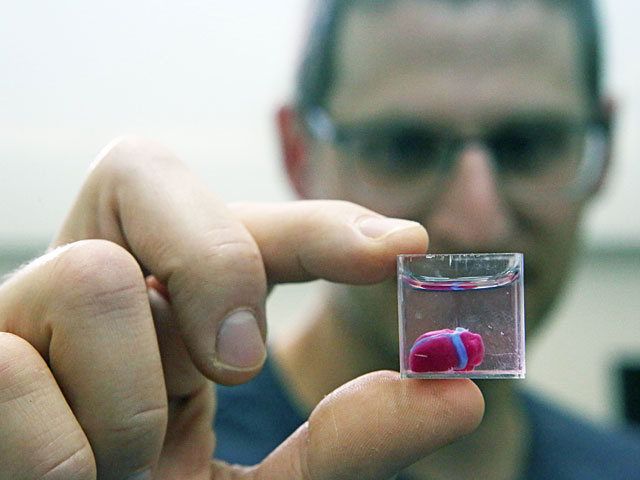 Израильские учёные напечатали живое сердце на 3D-принтере