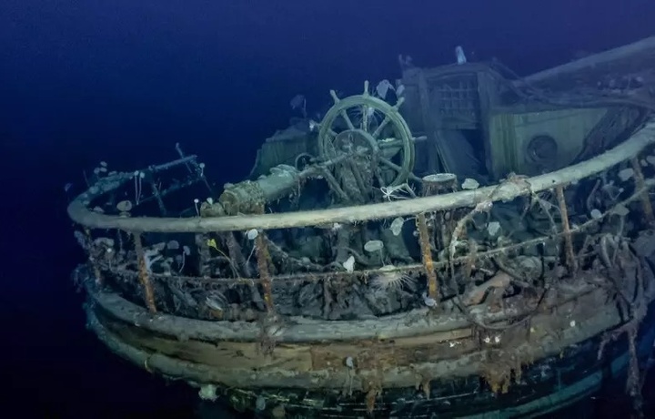 Учёные нашли новый вид животных на затонувшем 100 лет назад корабле
